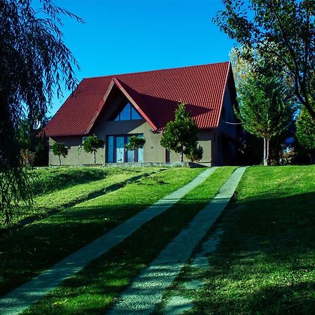 Guesthouse Vila Melisa Răsvadu de Sus エクステリア 写真