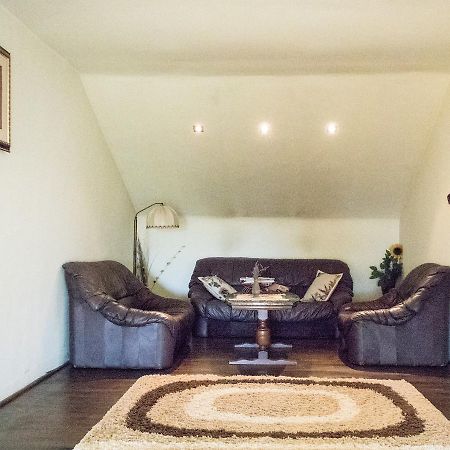 Guesthouse Vila Melisa Răsvadu de Sus エクステリア 写真
