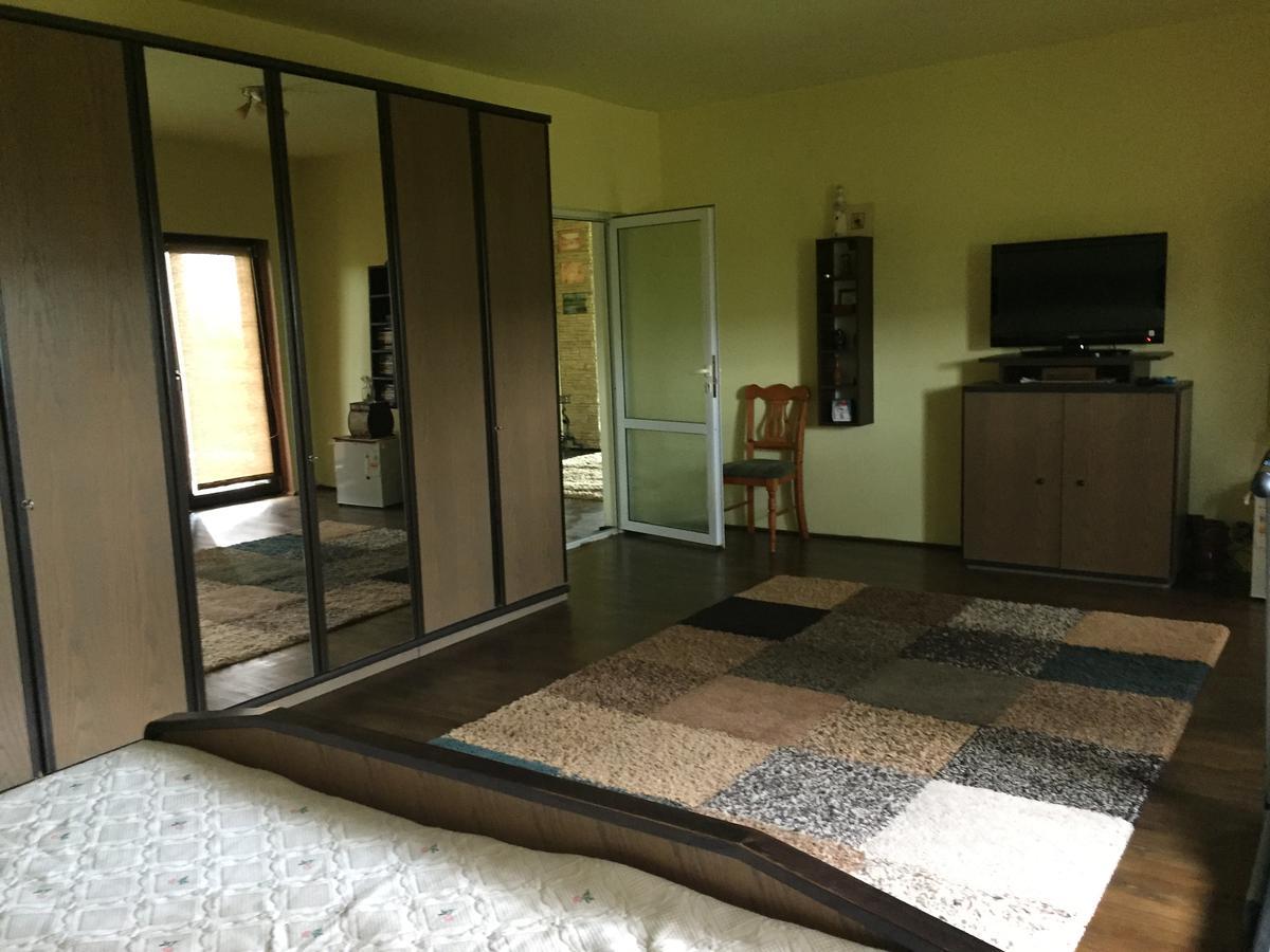 Guesthouse Vila Melisa Răsvadu de Sus エクステリア 写真