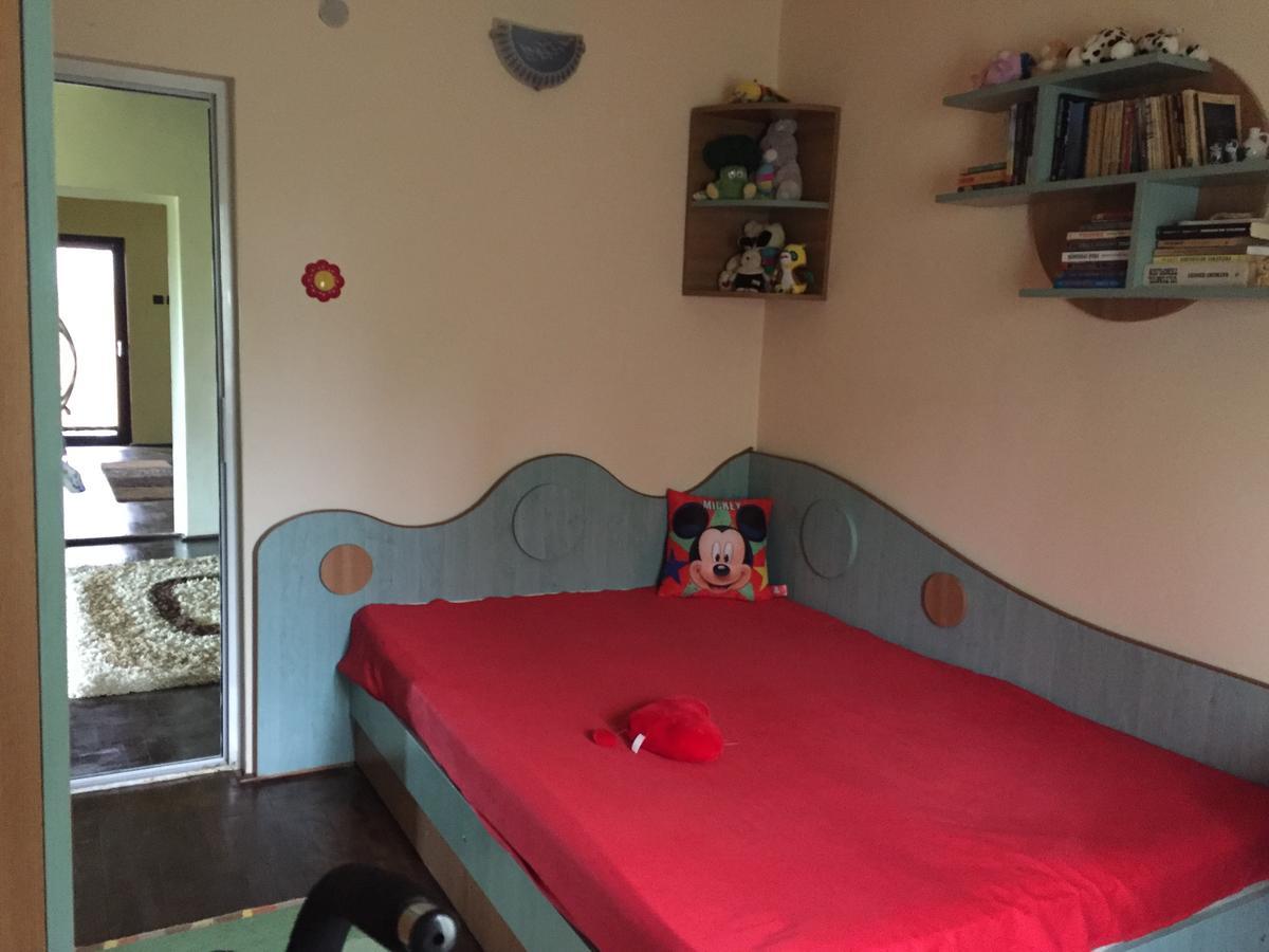 Guesthouse Vila Melisa Răsvadu de Sus エクステリア 写真