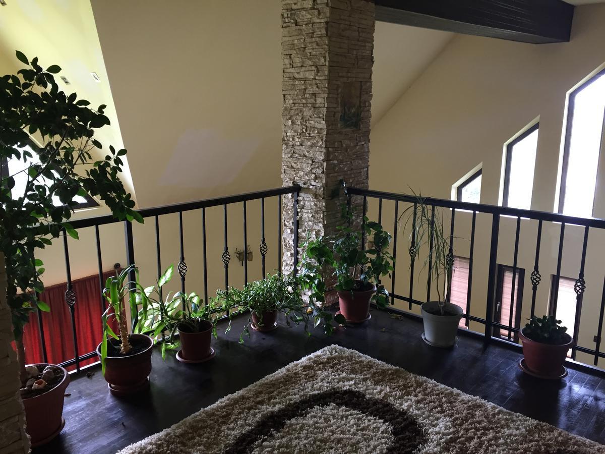Guesthouse Vila Melisa Răsvadu de Sus エクステリア 写真