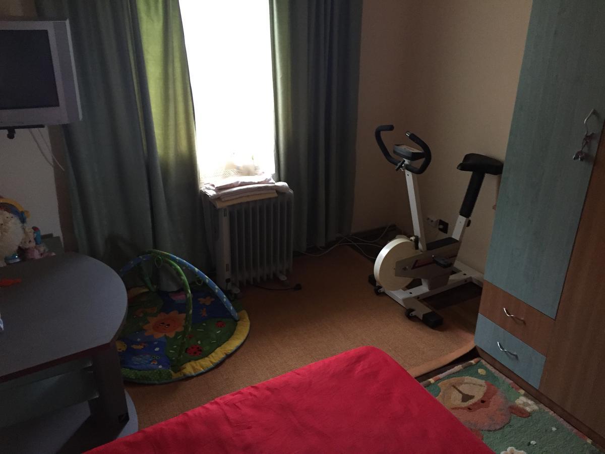 Guesthouse Vila Melisa Răsvadu de Sus エクステリア 写真