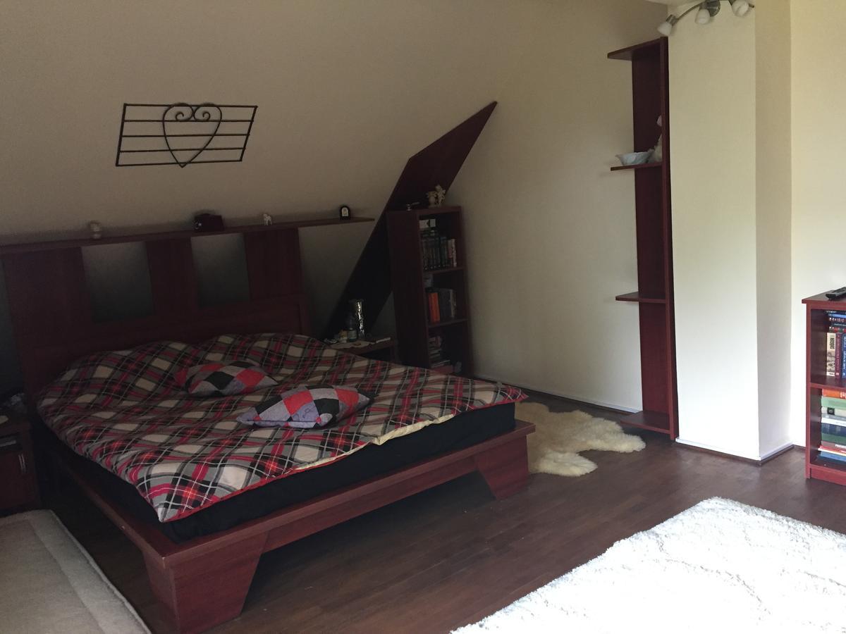Guesthouse Vila Melisa Răsvadu de Sus エクステリア 写真