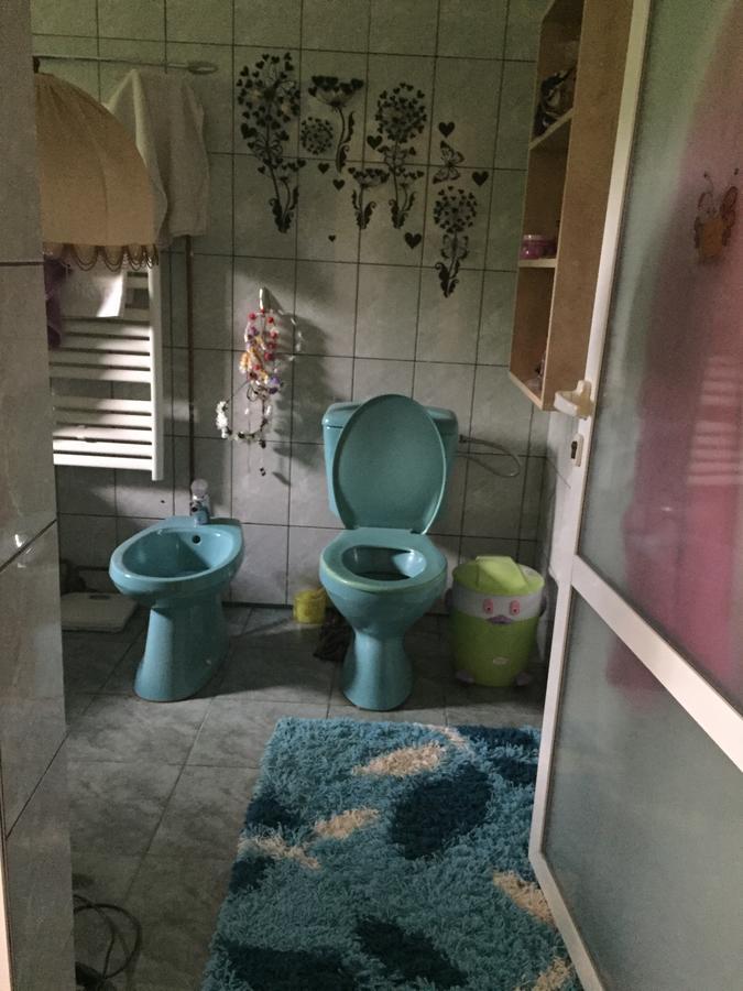 Guesthouse Vila Melisa Răsvadu de Sus エクステリア 写真
