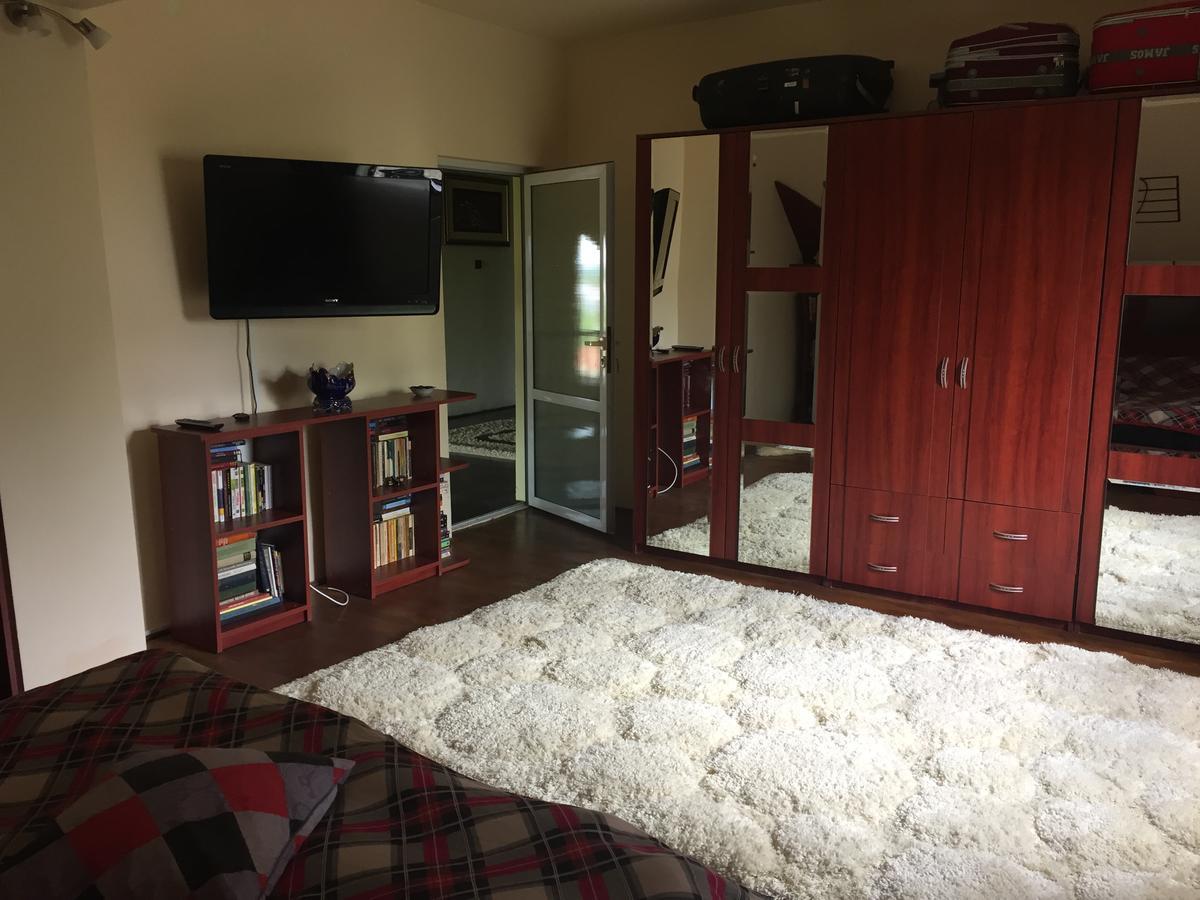 Guesthouse Vila Melisa Răsvadu de Sus エクステリア 写真