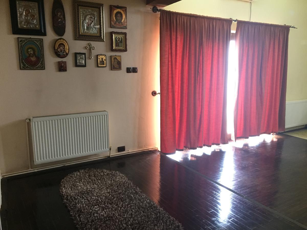 Guesthouse Vila Melisa Răsvadu de Sus エクステリア 写真