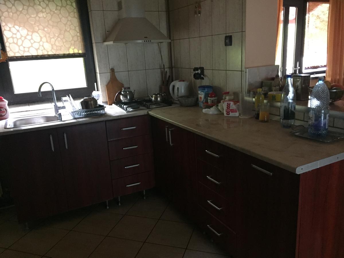 Guesthouse Vila Melisa Răsvadu de Sus エクステリア 写真