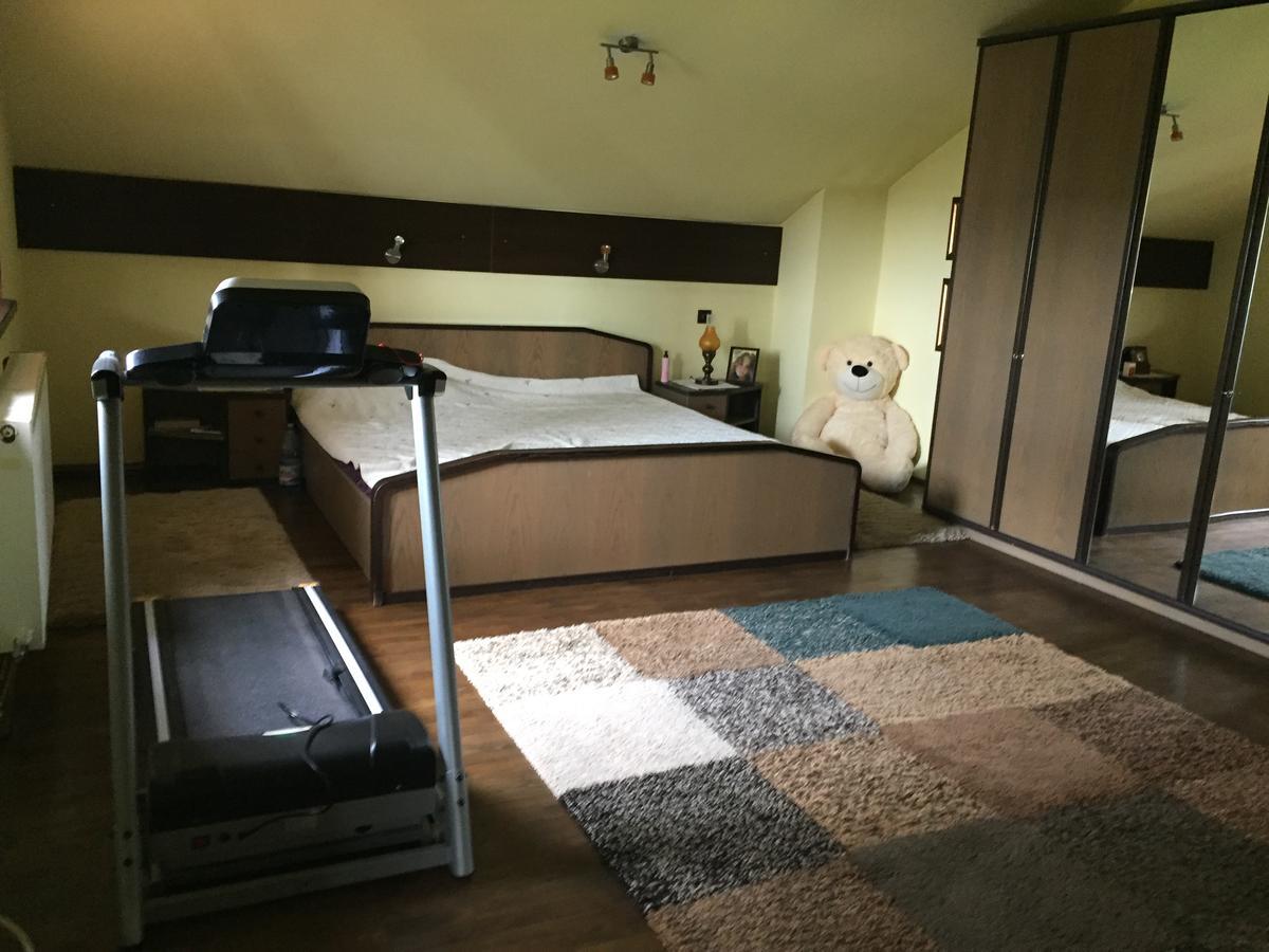 Guesthouse Vila Melisa Răsvadu de Sus エクステリア 写真