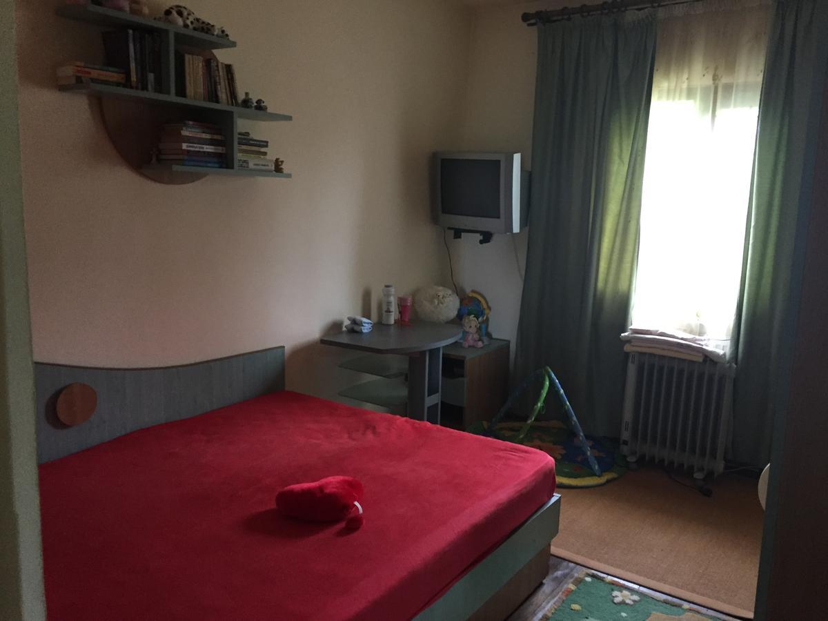 Guesthouse Vila Melisa Răsvadu de Sus エクステリア 写真
