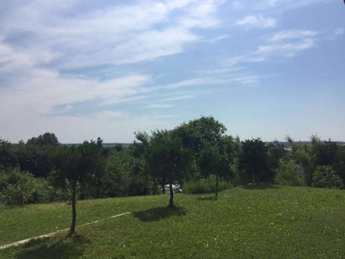 Guesthouse Vila Melisa Răsvadu de Sus エクステリア 写真