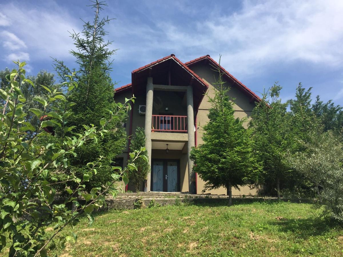 Guesthouse Vila Melisa Răsvadu de Sus エクステリア 写真