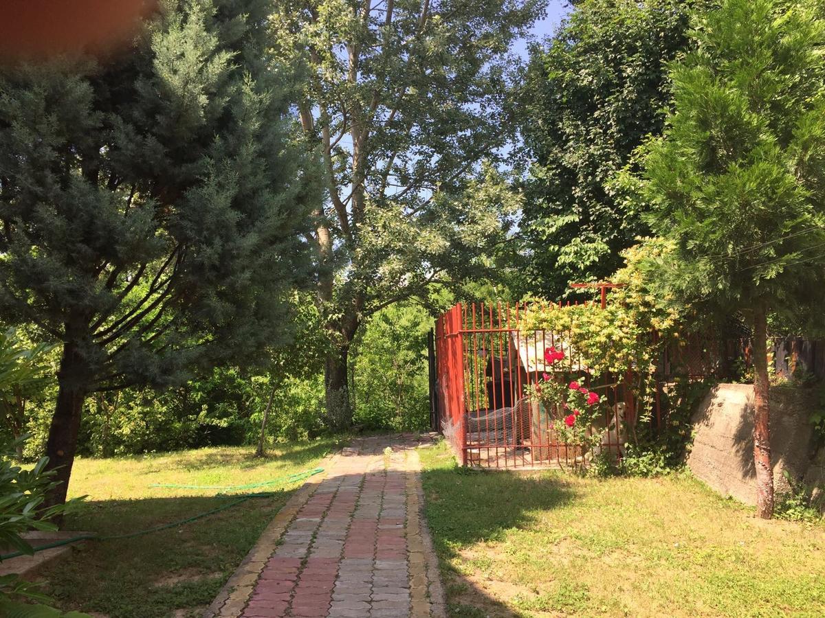 Guesthouse Vila Melisa Răsvadu de Sus エクステリア 写真