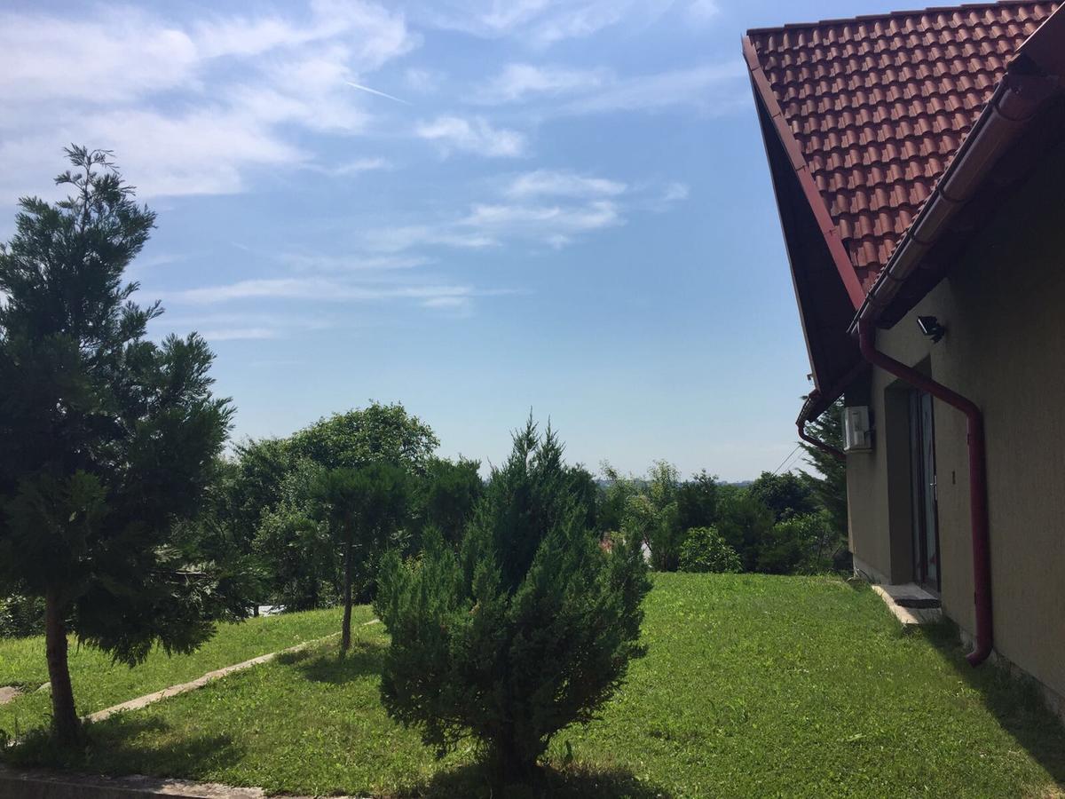 Guesthouse Vila Melisa Răsvadu de Sus エクステリア 写真