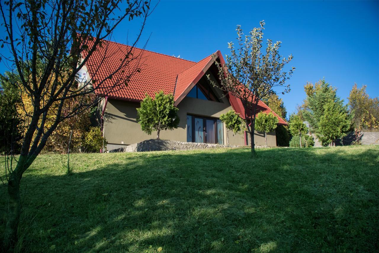 Guesthouse Vila Melisa Răsvadu de Sus エクステリア 写真