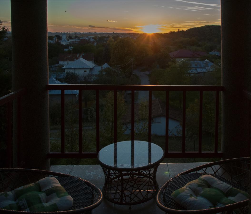 Guesthouse Vila Melisa Răsvadu de Sus エクステリア 写真