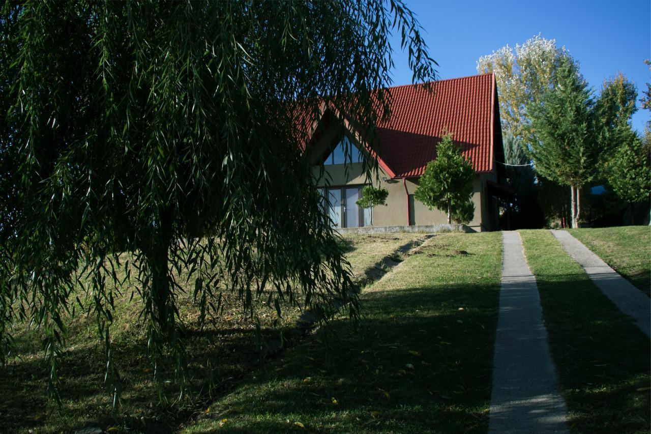 Guesthouse Vila Melisa Răsvadu de Sus エクステリア 写真