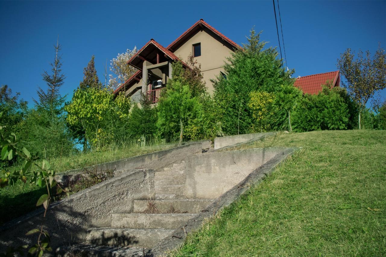 Guesthouse Vila Melisa Răsvadu de Sus エクステリア 写真