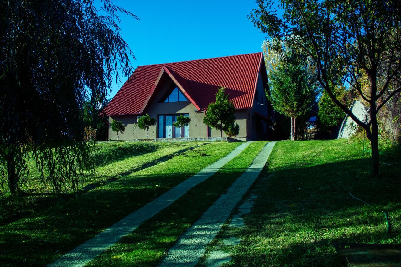 Guesthouse Vila Melisa Răsvadu de Sus エクステリア 写真