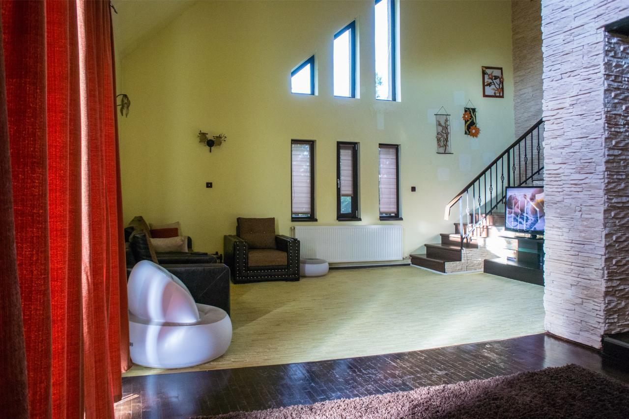 Guesthouse Vila Melisa Răsvadu de Sus エクステリア 写真