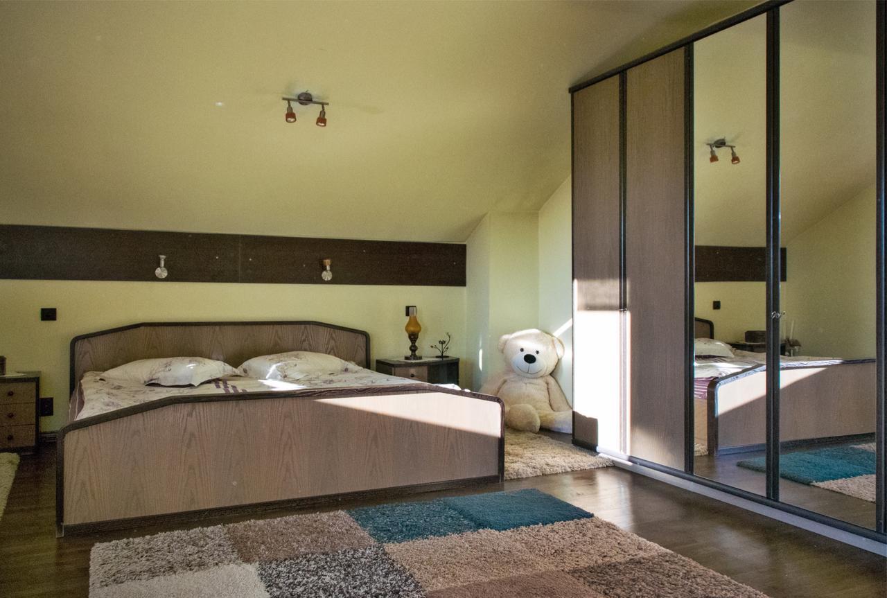 Guesthouse Vila Melisa Răsvadu de Sus エクステリア 写真