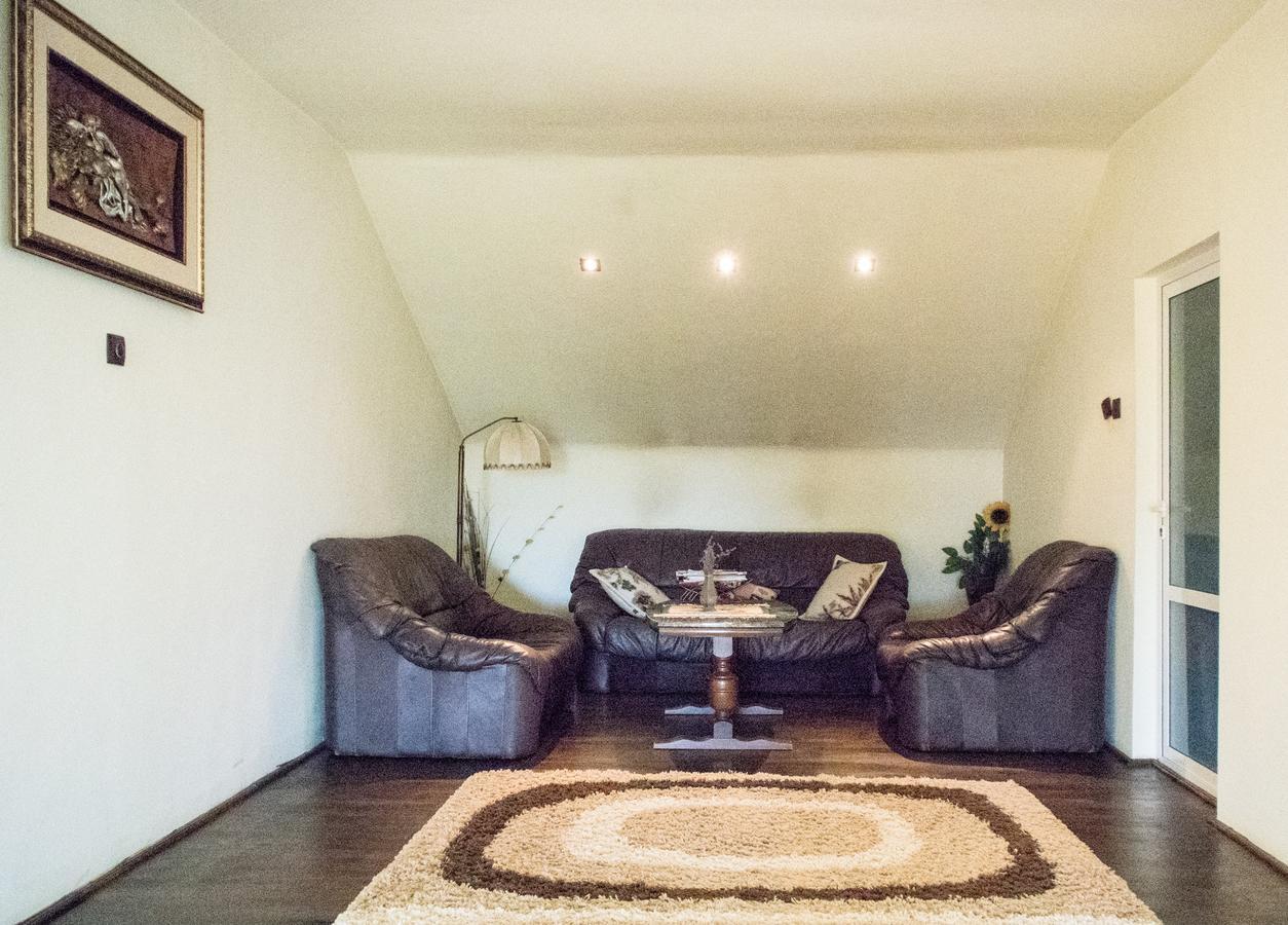 Guesthouse Vila Melisa Răsvadu de Sus エクステリア 写真