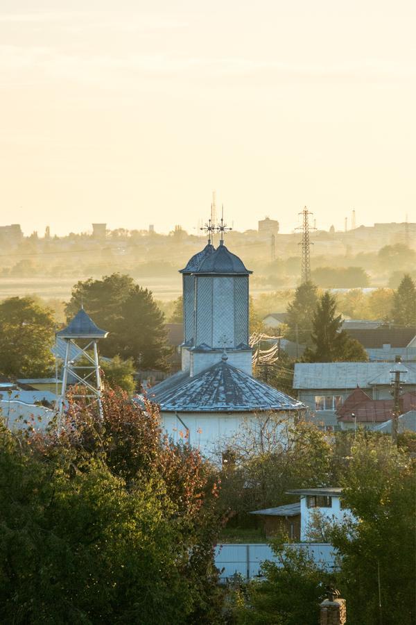 Guesthouse Vila Melisa Răsvadu de Sus エクステリア 写真